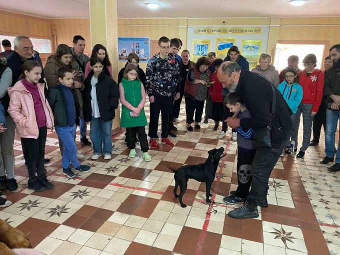 В Харькове прошли показательные выступления собак